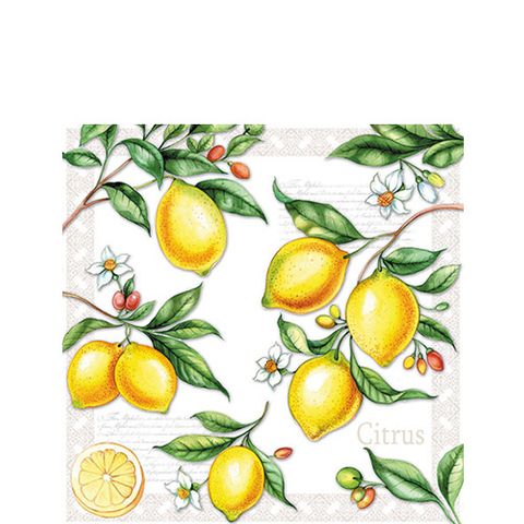 Ambiente - Paper Napkins - Pack of 20 - Cocktail Size - Citrus