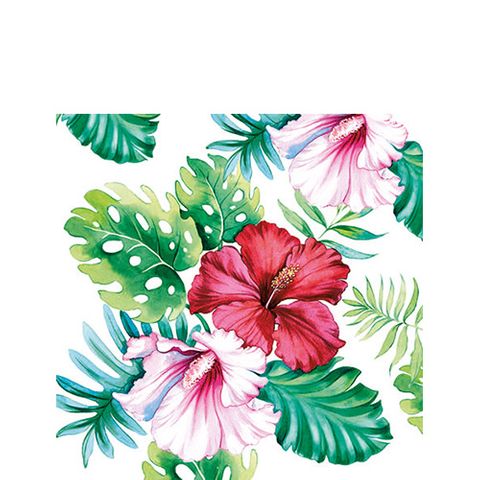 Ambiente - Paper Napkins - Pack of 20 - Cocktail Size - Hibiscus Floral White