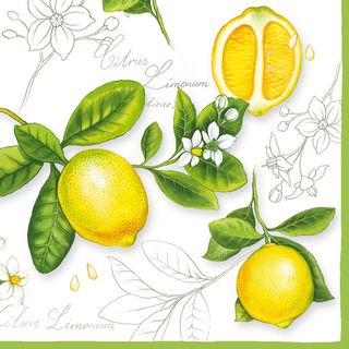 Ambiente - Paper Napkins - Pack of 20 - Luncheon Size - Citrus Limonum