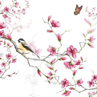 Ambiente - Paper Napkins - Pack of 20 - Luncheon Size - Bird & Blossom White