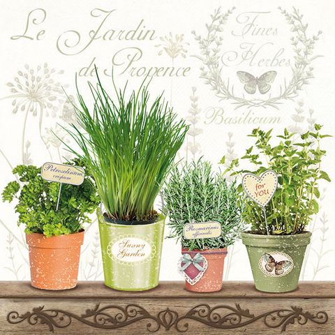 Ambiente - Paper Napkins - Pack of 20 - Luncheon Size - Le Jardin De Provence*