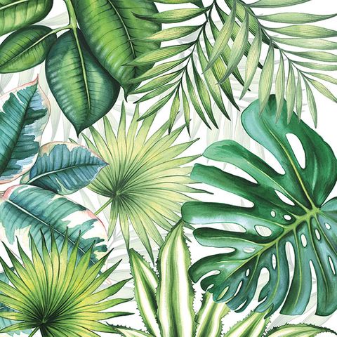 Ambiente - Paper Napkins - Pack of 20 - Luncheon Size - Tropical Leaves