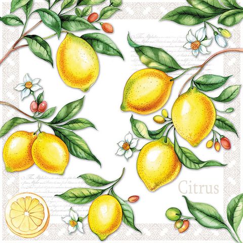 Ambiente - Paper Napkins - Pack of 20 - Luncheon Size - Citrus