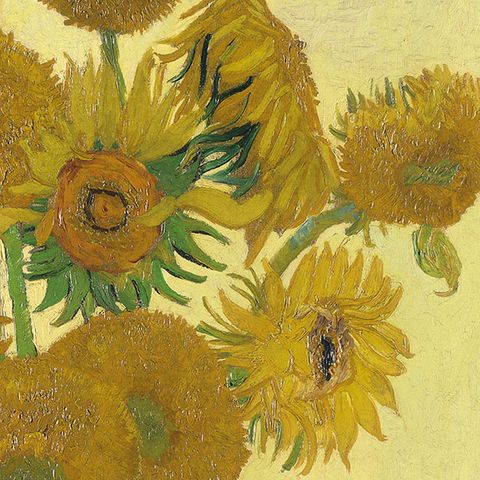Ambiente - Paper Napkins - Pack of 20 - Luncheon Size - Van Gogh Sunflower