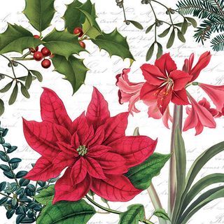 Ambiente - Paper Napkins Christmas - Pack of 20 - Luncheon Size - Christmas Plants
