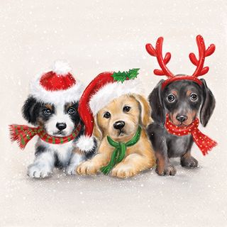Ambiente - Paper Napkins Christmas - Pack of 20 - Luncheon Size - Sweet Dogs
