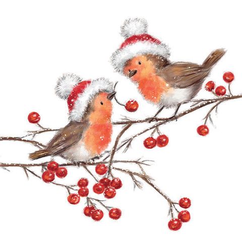 Ambiente - Paper Napkins Christmas - Pack of 20 - Luncheon Size - Christmas Robins