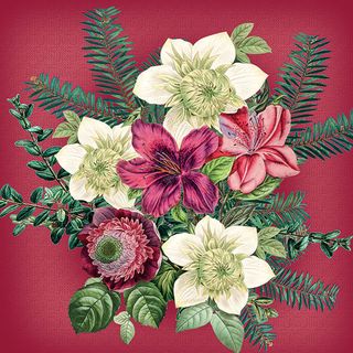 Ambiente - Paper Napkins Christmas - Pack of 20 - Luncheon Size - Azalea and Helleborus Red