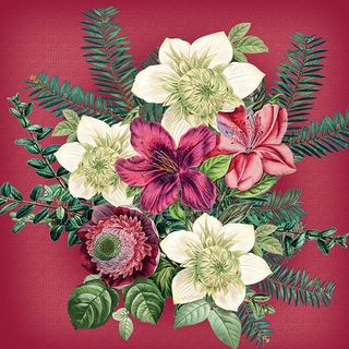 Ambiente - Paper Napkins Christmas - Pack of 20 - Luncheon Size - Azalea and Helleborus - Red