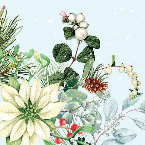 Ambiente - Paper Napkins Christmas - Pack of 20 - Luncheon Size - White Poinsettia