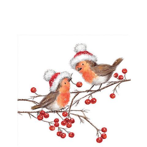 Ambiente - Paper Napkins Christmas - Pack of 20 - Cocktail Size - Christmas Robins