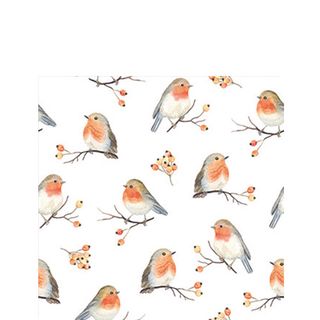 Ambiente - Paper Napkins Christmas - Pack of 20 - Cocktail Size - Robin Family