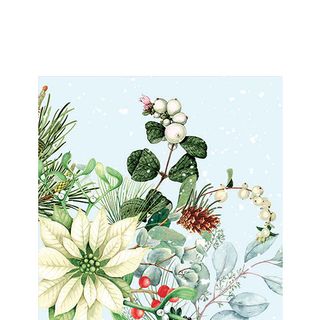 Ambiente - Paper Napkins Christmas - Pack of 20 - Cocktail Size - White Poinsettia