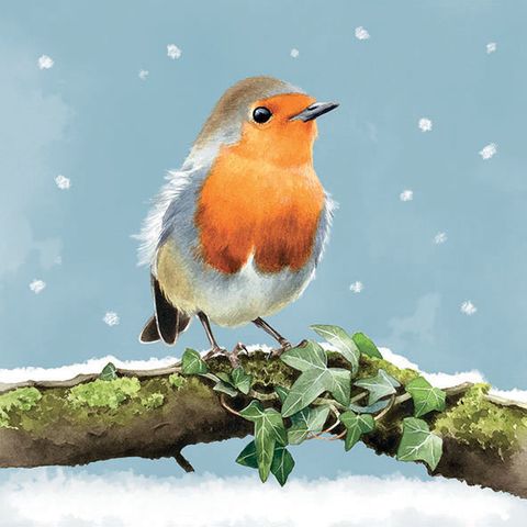 Ambiente - Paper Napkins Christmas - Pack of 20 - Luncheon Size - Robins On Branch