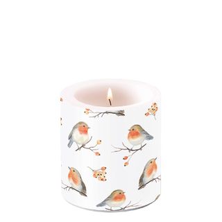 Ambiente Home - Candle - Small - Robin Family