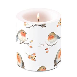 Ambiente Home - Candle - Large - Robin Family