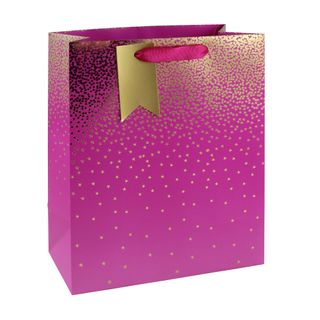 Eurowrap - Pink Ombre - Large Gift Bag