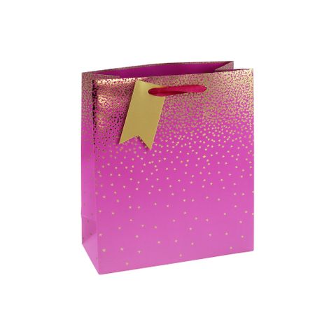 Eurowrap - Pink Ombre - Medium Gift Bag