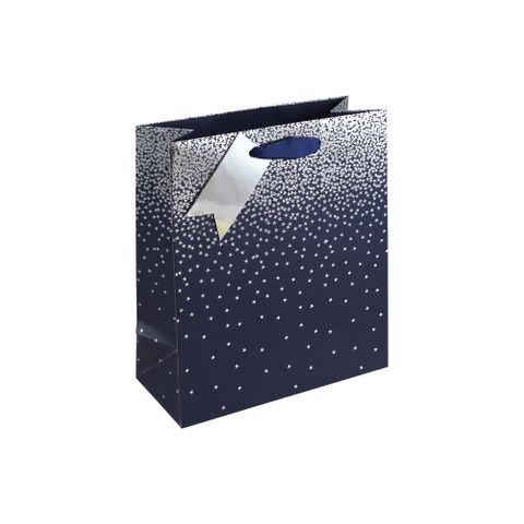 Eurowrap - Navy Ombre - Medium Gift Bag