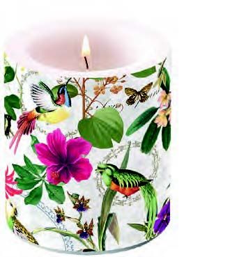 Ambiente Home - Candle - Medium - Tropical Jungle