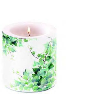 *Ambiente Home - Candle - Small - Hedera