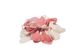 Legami - Confetti Popper - Display Pack of 9 Pcs