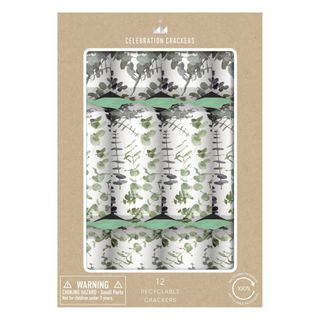 Celebration Crackers - Deluxe Crackers - 12 Inch - Eucalyptus Leaves - Box of 12