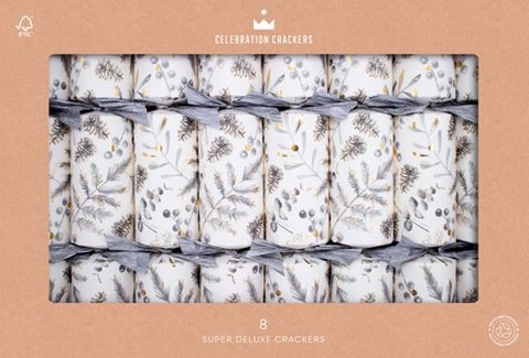 Celebration Crackers - Super Deluxe Crackers - 14 Inch - Silver Botanical - Set of 8