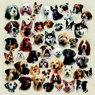 Ambiente - Paper Napkins - Pack of 20 - Luncheon Size - Collection of Dogs