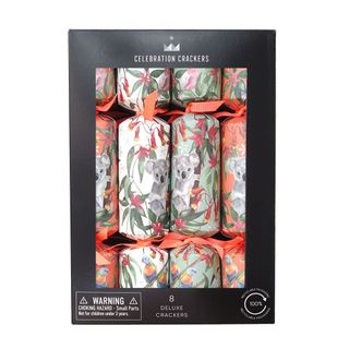 Celebration Crackers - Deluxe Crackers - 12 Inch - Tropical Koala Australiana - Box of 8