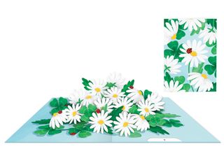 Origamo - Pop Up Greeting Card - Kirigami Collection - Good Luck Daisy