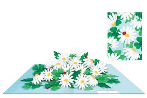 Origamo - Pop Up Greeting Card - Kirigami Collection - Good Luck Daisy