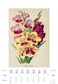 Istituto Fotocromo Italiano - 2027 Art Calendar - Large Size 35 x 50 cm - Botanica