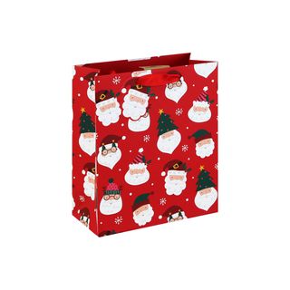 Eurowrap - Funky Santa - Medium Gift Bag
