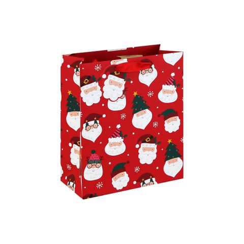 Eurowrap - Funky Santa - Medium Gift Bag