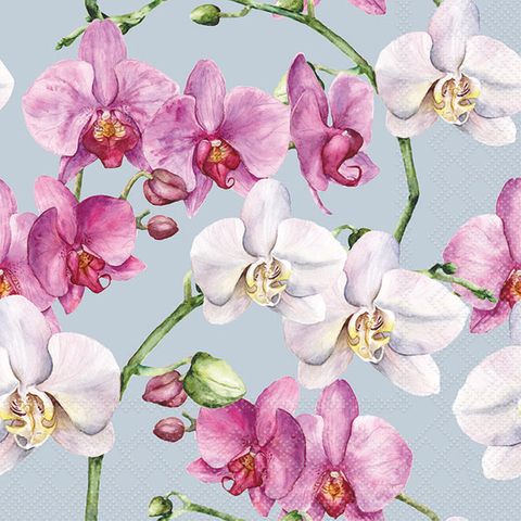 Ambiente - Paper Napkins - Pack of 20 - Luncheon Size - Elegant Orchids - Blue
