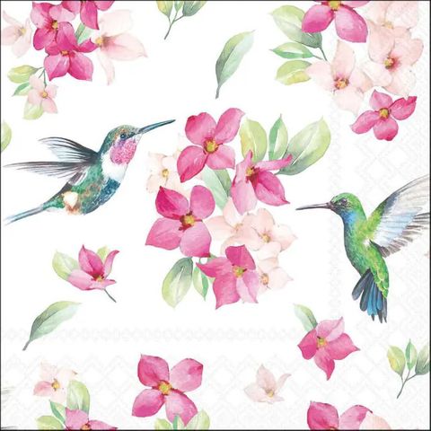 Ambiente - Paper Napkins - Pack of 20 - Luncheon Size - Diligent Hummingbirds - White