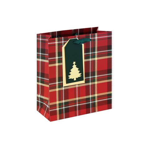 Eurowrap - Tartan - Medium Gift Bag