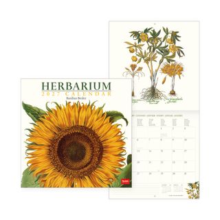 Legami - 2027 Wall Calendar - Uncoated - 30 x 29 cm - Herbarium
