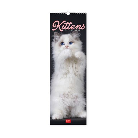 Legami - 2027 Wall Calendar 16 x 49 cm - Kittens