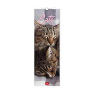 Legami - 2027 Wall Calendar 16 x 49 cm - Cats