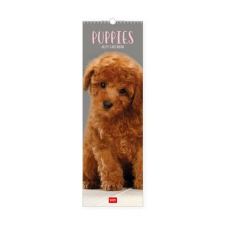 Legami - 2027 Wall Calendar 16 x 49 cm - Puppies