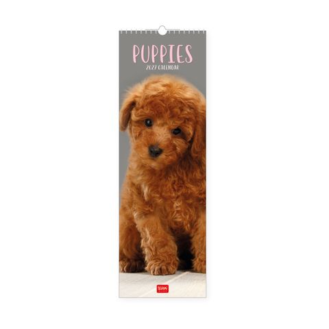 Legami - 2027 Wall Calendar 16 x 49 cm - Puppies
