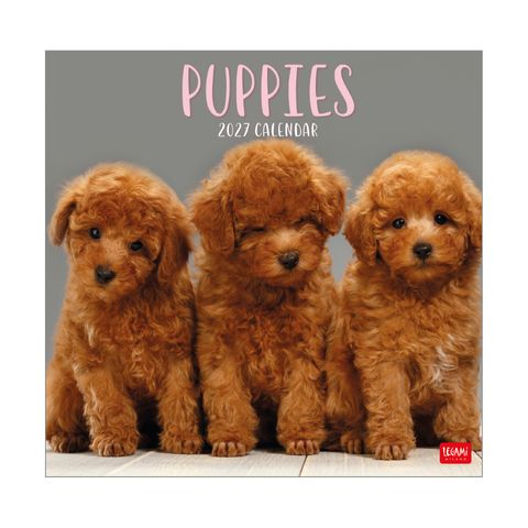 Legami - 2027 Wall Calendar 30 x 29 cm - Puppies