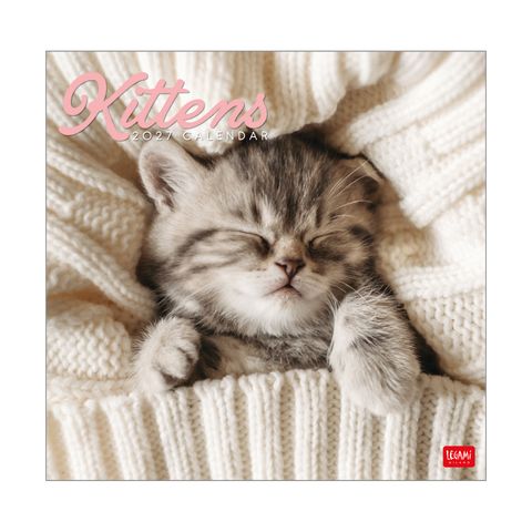 Legami - 2027 Wall Calendar 30 x 29 cm - Kittens