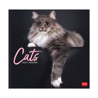 Legami - 2027 Wall Calendar 30 x 29 cm - Cats