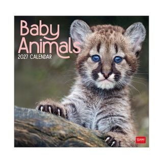 Legami - 2027 Wall Calendar 30 x 29 cm - Baby Animals
