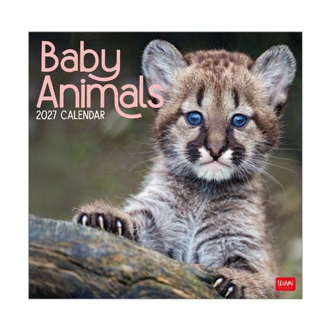 Legami - 2027 Wall Calendar 30 x 29 cm - Baby Animals
