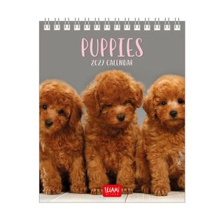 Legami - 2027 Desk Calendar 12 x 14.5 cm - Puppies