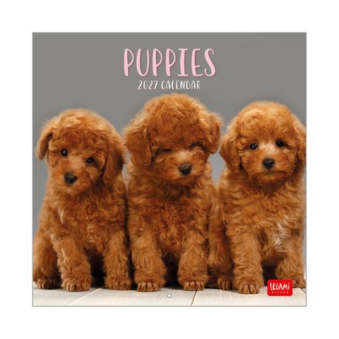 Legami - 2027 Wall Calendar 18 x 18 cm - Puppies